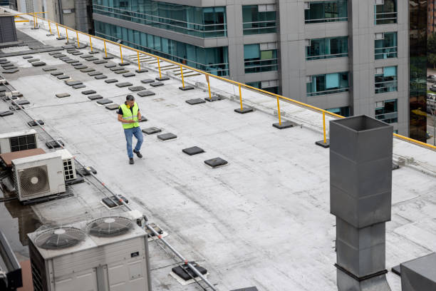 Best Roof Maintenance and Cleaning  in Lorton, VA