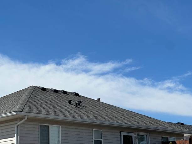 Best Hot Roofs  in Lorton, VA